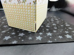 amelie ruby red box a